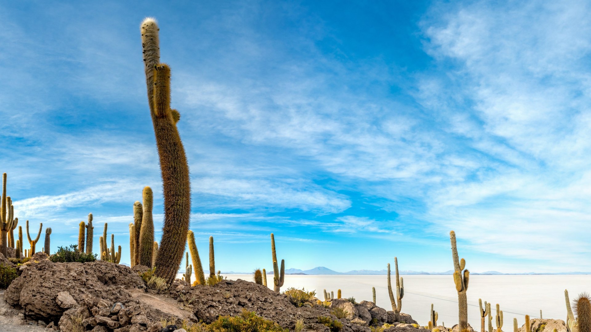 Geheimnisvolle Anden